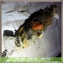 성내동화장실 이미지