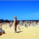 뉴대한여행사 이미지