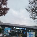 아쿠아 프랜즈 | 수영장 카드결제 도입 후기 대전 아쿠아풀 프랜즈 토스플레이스 페이스페이로 더 편해진 프랜즈