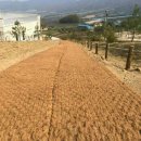 코코농장 이미지