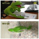 영빈부페 | [일상] 개강부터 달려와 남은 건 시험 뿐