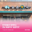 일층약국 이미지