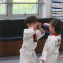 라이온태권도 이미지