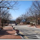 이동시장(이동공설시장) 이미지