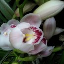 세기산업 이미지