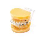 원필준치과교정과치과의원 이미지