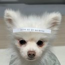 어서멍 이미지