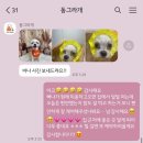 동그라개 이미지