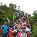 제 248회 남산 야생화 공원 주말걷기 후기(12/7/1/일요일 실시) 이미지