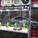 위드독스 샵 이미지