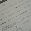 헤라에스테