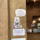 아라해물칼국수 이미지