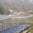 추평농장 이미지