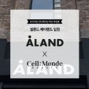 몽드뷰티