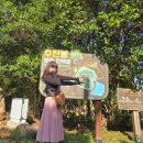 수산리-6 | 애월 수산봉 그네 풍경 기록 | 제주 산책코스 제주 여행코스 제주 가볼만한 곳 추천
