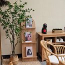 전하울스테이 이미지