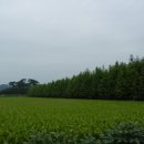 순석농장 이미지