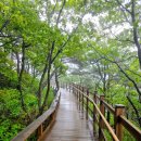 제352차 감악산 무장나눔길/별바람언덕탐방 [2025.10.15. (수요일)] 이미지