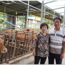 현우축산 이미지