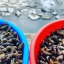 박정식농장 이미지