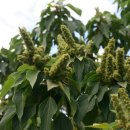 새순약국 이미지