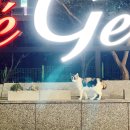 수자인호텔세탁 | 20211005 전국 일주 여행 09일차 - 부산광역시