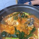 동해막회 - 영등포구 | 동해막회