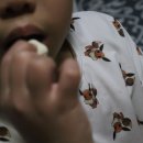메디팜조아약국 | 어린이영양제 키즈 영양제 퍼니트 x 조아제약 말랑타입 츄링 초유