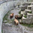 알프스게임하우스 | [공지] 인터라켄 7박8일 여행 : 4일차, 스위스 수도 베른. 슈피츠 마을
