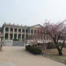 가로수 언니
