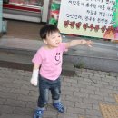 늘푸른미트 이미지