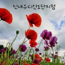 신내우디안1단지 이미지
