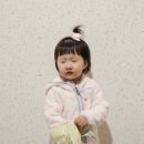 프림로제 이미지