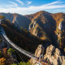 무위사안내소 | 가을 단풍 명소! 하늘 위를 걷는 월출산 구름다리 트레킹 완벽 가이드 🍁