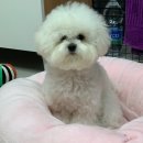 청라공감동물병원 이미지