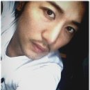 이스타빌 이미지