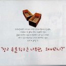 소봄 이미지