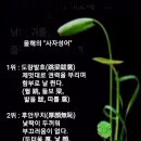 글사랑방 이미지