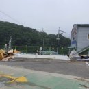 정도가설 이미지