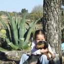 멍멍이가 있는 집 이미지