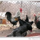 현인농장 이미지