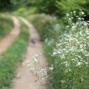 황토사랑 나무야 이미지