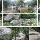 원진민박 이미지