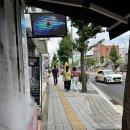 집나간 만두 이미지