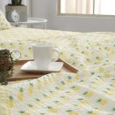 리빙블링 이미지