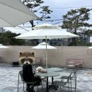 늘편한약국 | [광주 광산구 수완동] 반려동물 동반 브런치카페 ‘아이와즈’