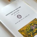 이쁘냥 고양이미용실 대전점 이미지