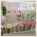 대구꽃집 너와나의봄 동성로점 개업화분 구매후기