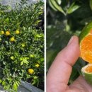 유라농장 이미지