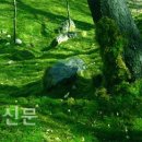 (주)바른조경